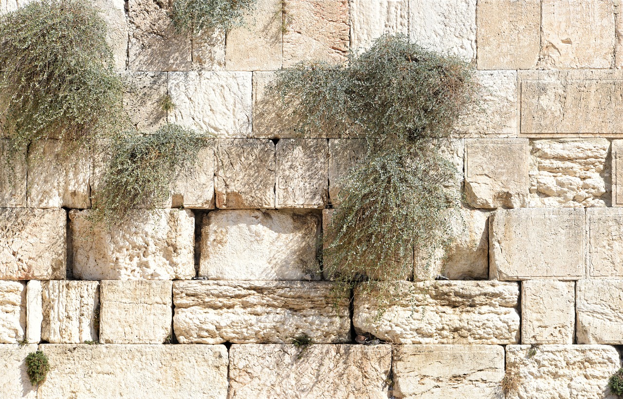 טיול לכותל בירושלים